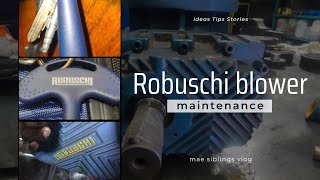 Robuschi rotary blower repairLobe blower mechanical service mechanical blowers technical [upl. by Tersina]