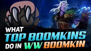 What Top Boomkins Do In WW Boomkin  WoW BfA PvP Guide [upl. by Erreid]