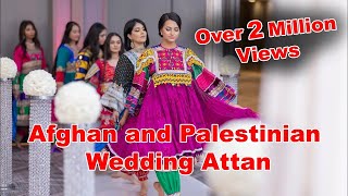 Afghan and Palestinian Wedding Attan Performance [upl. by Eanad689]