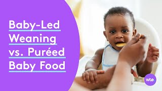 BabyLed Weaning vs Puréed Baby Food Differences How to Start amp More  What to Expect [upl. by Levi]