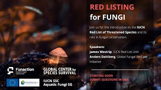 Red Listing for Fungi [upl. by Phelgon]