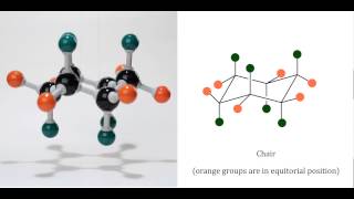 Chair and Boat Conformations of Cylcohexane [upl. by Akihsan]