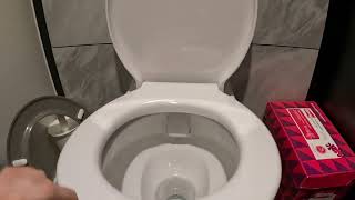 How to Fix a Loose Toilet Seat  Wonky Loo Seat  Bathroom Hacks [upl. by Yentirb]