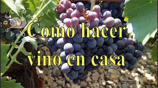 Como hacer vino tinto casero [upl. by Symon]