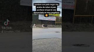 pegriloso colombia mascota Viral animales peludos 4patas humor [upl. by Igal928]