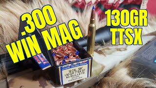 Barnes 130gr TTSX 300 Win Mag Review [upl. by Geis]