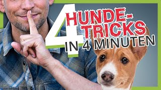 4 HUNDETRICKS in 4 MINUTEN [upl. by Flosser830]