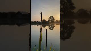 Main lake transitioning into autumn nicely Lakeside lodge fishing escapes at Blackthorn Fishery [upl. by Onimixam]