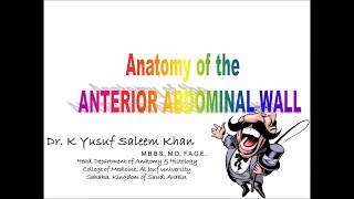 Anatomy  ANTERIOR ABDOMINAL WALL  Part 1  Dr Yusuf [upl. by Nivar]