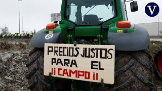 ¿Por qué protestan los agricultores [upl. by Novek160]