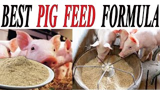 HOW TO START PIG FARMING  How to make pig feed Best pig feed formulationCheaper pig feedPiggery [upl. by Reichel]