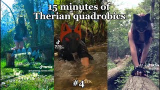 Therian quadrobics compilation  4 [upl. by Creigh]