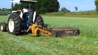 Ford 6610 mowing hay with Vermeer 5040 disc mower [upl. by Aener675]