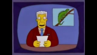 The simpsons and invasive species [upl. by Ezechiel791]