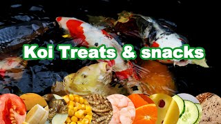 Koi food Treats and Feeding  Feeding Koi experiment [upl. by Olecram]