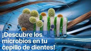 ¡Descubre los microbios en tu cepillo de dientes [upl. by Lanta]