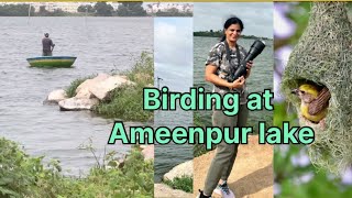 Birding at Ameenpur Lake [upl. by Cindie]