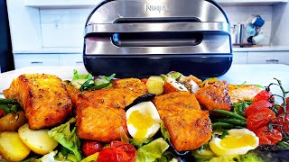 Ninja Foodi Smart XL Grill Honey Garlic Salmon Recipe [upl. by Parrie211]