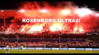 ROSENBORG BK ULTRAS  BEST MOMENTS NORWAY [upl. by Krid]