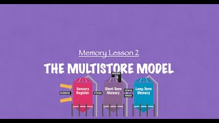 ALevel Psychology AQA The Multistore Model of Memory [upl. by Dacy247]