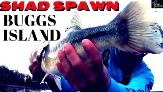 Bass Fishing On Kerr Lake in Virginia tips on locating and triggering bites from largemouth bass [upl. by Cerell865]