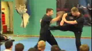 BEST Wing Chun Hand amp Leg Combination Drill for Distance Control [upl. by Ias]