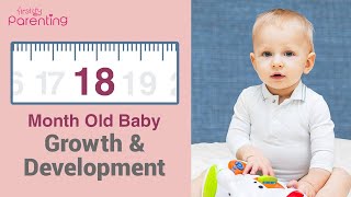 18 Months Old Babys Growth and Development Plus Activities amp Care Tips [upl. by Trill]