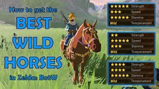 How to get the BEST WILD HORSES in Zelda Breath of the Wild NO AMIIBO [upl. by Tilda]