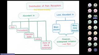 Pain analgesia amp Mechanisms of neuropathic pain by Prof Ahmed Elgendy [upl. by Amat303]