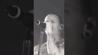 LAST Concert Chester Bennington Chester Bennington 19762017lead singer of Linkin Park metal [upl. by Phaedra542]