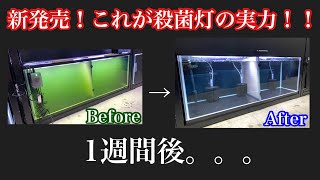 これが殺菌灯の実力！超オススメ！アズーから新発売の殺菌灯『UVステライザー24W』のご紹介 [upl. by Ayekat356]