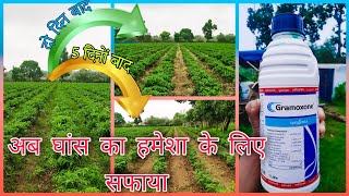 Gramoxone  gramoxone herbicide  kharpatwar nashak davai🍶 gramoxone syngenta [upl. by Einnej]