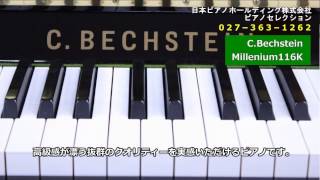 CBECHSTEIN Millenium116K [upl. by Saloma]