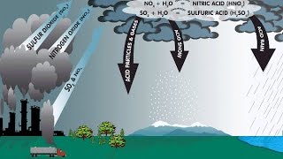 How does the ACID RAIN form  Learning Science Grade 7 amp 8 [upl. by Thebault41]