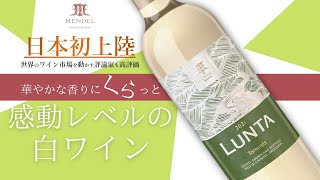 香りに圧倒される感動レベルの白ワイン「LUNTA Torrontes ルンタ・トロンテス」 [upl. by Laenahtan24]