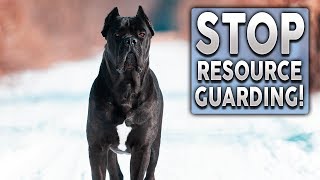 How To STOP Dogs Resource Guarding [upl. by Aissej]