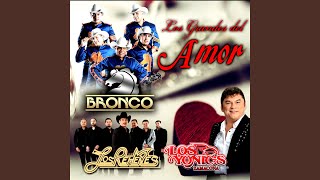 Amigo Bronco Live [upl. by Mudenihc]