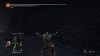 Ds3 dupe glitch [upl. by Umberto]