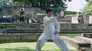 Tai Chi Lessons with Master Jian Liujun [upl. by Akeimat]