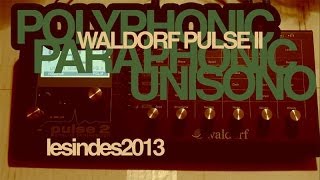 Waldorf Pulse 2  POLYPHONIC  Paraphonic  Unisono Sounds [upl. by Anayk]