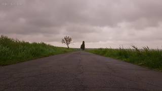 Relaxing Sounds of Light Rain and Soothing Wind Blowing Through Vegetation on an Abandoned Road  4K [upl. by Claudy756]