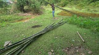 Single mom  Harvesting Vegetable Garden Goes to the market sell  Free Bushcraft [upl. by Yeclek503]