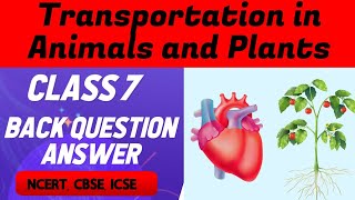 Transportation in Animals and Plants Class 7 Question Answers Class 7 Chapter 11 Question Answers [upl. by Kelam]