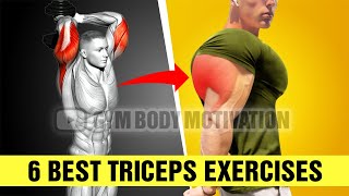 The Best Triceps Workout for Mass 6 Effective Exercises [upl. by Animaj]