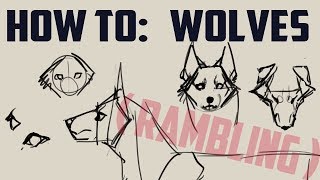 How to draw wolves basics me rambling [upl. by Poliard]