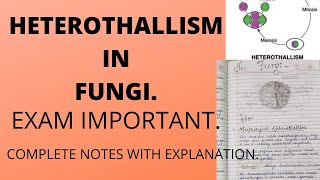 HETEROTHALLISM IN FUNGIFull explanation with notesbscbotany [upl. by Forland638]