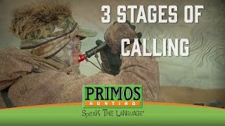 Randy Andersons 3 Stages of Calling in Coyotes [upl. by Lajet]