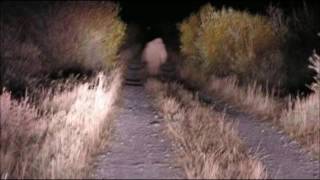 Bigfoot Caught on Dashcam While Crossing the Road in MD Before Cloaking [upl. by Juta]