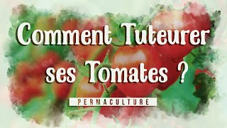 Comment tuteurer ses tomates [upl. by Snej]