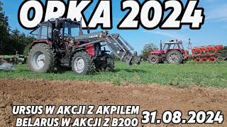 Orka na całego ogień🔥 na tłoki ursus w akcji z akpilem amp Belarus z B200 31082024 [upl. by Medardas]